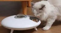 艾窝宠物自动喂食器，帮你解决宠物喂食问题~
