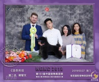 厦门B级宠物美容考前辅导培训班