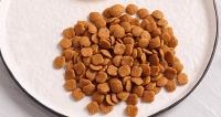 匠粮时代狗粮怎么喂食呢？
