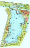 崇明5A级景区正式升级“宠物友好型公园”！
