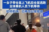 独家报道：女子带宠物上飞机事件后续报道