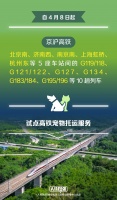铁路部门试点高铁宠物托运服务,12306同步推出“宠物托运”功能