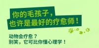 《驴子医生和它的朋友们》｜解读动物辅助疗愈的奇妙世界