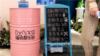 上海首家专供宠物的“非人类”餐厅 不过是满足了主人的“一厢情愿”?