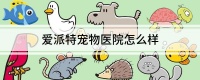 爱派特宠物医院怎么样