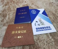 专项行动