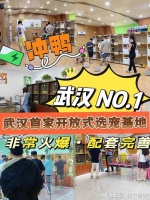 武汉哪里有买狗买猫的市场 ，武汉大型宠物基地选购宠物更放心！
