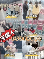 无锡哪有卖柴犬的宠物基地？无锡宠物基地选购柴犬更放心