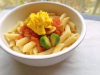★宠物食谱★狗狗最爱的西红柿通心粉