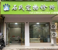 石氏宠物诊所-我的猫经常性腹泻,找了很多家宠物医院终于治好了
