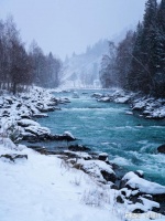 带狗拍阿勒泰雪景！问疆行 7 天宠物友好摄影游，毛孩子成模特