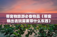 带宠物旅游必备物品（带宠物出去玩需要带什么东西）