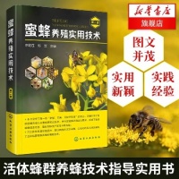 蜜蜂养殖实用技术（第2版）