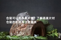 仓鼠可以吃燕麦片吗？了解燕麦片对仓鼠的影响与注意事项