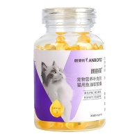 狗狗吃什么消化食物