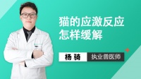 怎样训练猫睡自己的窝