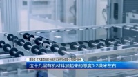 科学养殖棕尾牛顿莺，如何确保其健康成长？