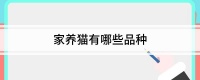 家养猫有哪些品种