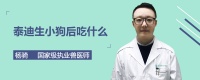泰迪生小狗后吃什么