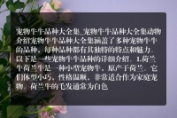 宠物牛牛品种大全集