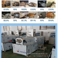 双螺杆膨化龟粮设备加工宠物鱼饲料生产机器