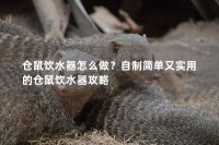 仓鼠饮水器怎么做？自制简单又实用的仓鼠饮水器攻略