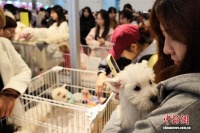 2025天津宠物博览会开幕 年轻人成“它经济”消费主力军