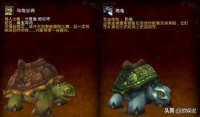 魔兽世界熔岩龟捕捉地点详解与攻略指南