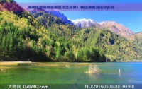 海南旅游狗狗去哪里玩比较好：精选海南游玩好去处
