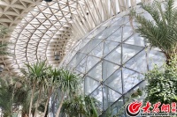 建设鸟类天堂 凤鸣鸟类湿地公园孕育出北海生态明珠