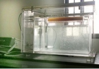 鱼类水产类培养箱 水生物试验箱实验箱