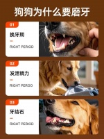 狗狗为什么要磨牙？