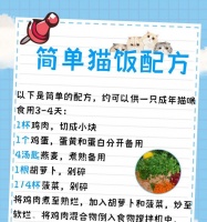 怎么做家庭版猫粮？自制猫粮的简单步骤和注意事项有哪些？