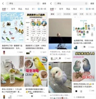 “鸟门”有多火？这届年轻人开始遛鸟了