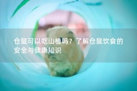 仓鼠可以吃山楂吗？了解仓鼠饮食的安全与健康知识