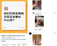 掌心新宠，这届年轻人开始“盘”玉米了