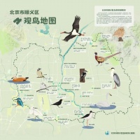 首发!顺义这份观鸟地图请查收