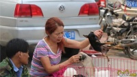 逛了十年犬市的我教你如何在犬市上买到一只好狗，一眼识破星期狗
