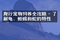 爬行宠物饲养全攻略