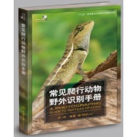 《常见爬行动物野外识别手册 齐硕编著 重庆大学出版社 生物科学》 【简介