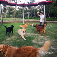 广州宠物俱乐部，宠物乐园首选！