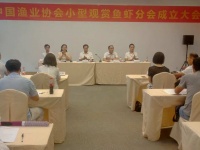《中国渔业协会小型观赏鱼虾分会》正式成立,小型观赏鱼虾,走进万户千家