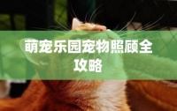 萌宠乐园宠物照顾全攻略