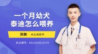 1个月幼犬泰迪怎么喂养