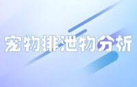 宠物排泄物分析产品:智能化健康管理的革命性工具