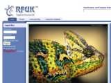 爬行动物论坛 www.reptileforums.co.uk