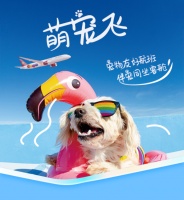 吉祥航空5月1日起推出“萌宠飞”宠物进客舱服务