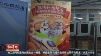 京沪高铁试点宠物托运 萌宠与主人同车启程