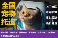 【成都专业宠物托运 全国当日达 航空随机托运】批发