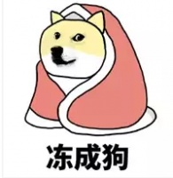 狗狗产后饮食指南（冷热适宜的饮食搭配建议）